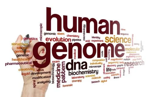Humangenome Stockillustratie