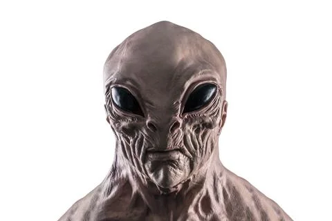 Humanoid alien head isolated on white background with clipping path Fotos de archivo