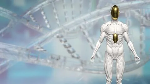The Humanoid for Technology and sci concept 3d Rendering. Stock Illustration