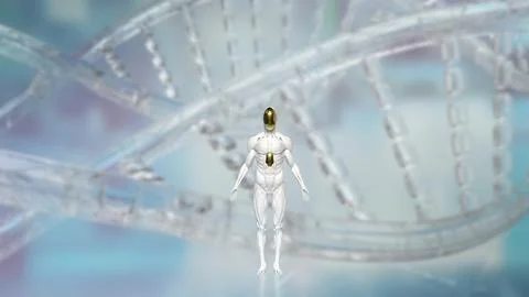 The Humanoid for Technology and sci concept 3d Rendering. Stock Photos