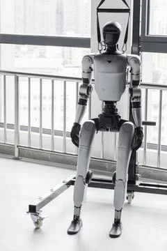Humanoid test robot secured in a harness inside a research lab Stock Photos