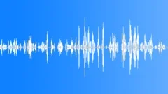 Humans Baby Vocalizations Baby Boy 10 Months Old Vocal Various ActiveSound Effect