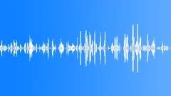 Humans Baby Vocalizations Baby Boy 10 Months Old Vocal Various ActiveSound Effect