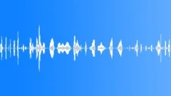 Humans Baby Vocalizations Whining Series Very Annoyed Loud Whines Cryi Sound Effect