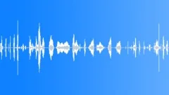 Humans Baby Vocalizations Whining Series Very Annoyed Loud Whines Cryi Sound Effect