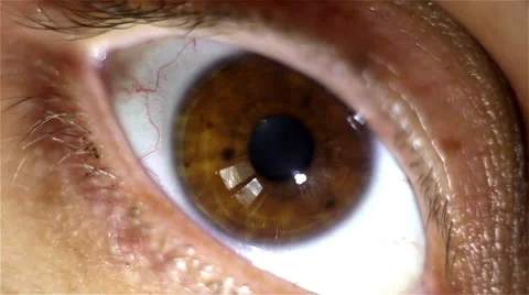 Humans eye macro shot with light-flash apple of eye reaction Video stock 51515044