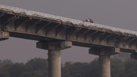 Humans standing on a wide bridge throwing bird feed off it Stock Footage 280366582
