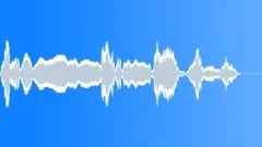 Human,Whistle,In a Crowd,Strong 6 Sound Effect