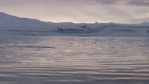 Humback Whale in Arctic Diving Vídeos de archivo 251878169