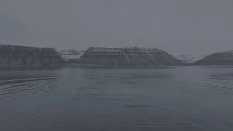 Humback Whale in Arctic Diving Vídeos de archivo 251901313