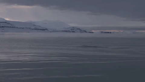 Humback Whale in Arctic Diving Vídeos de archivo 251911518