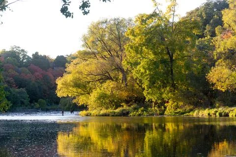 Humber river view in fall Stock Photos