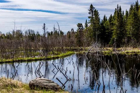 The Humber River wanders through the park. Sir Richard Squires Provincial Par Foto stock