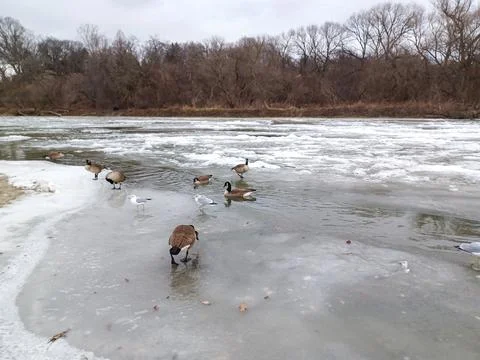 Humber river in winter Stock Photos