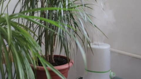 Humidification, comfortable living conditions. Diffuser, climate control Stock Footage 262422124