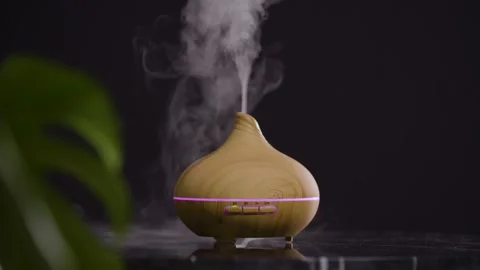 Humidifier-diffuser-bambus-green-plant-black-background 스톡 동영상 149037616