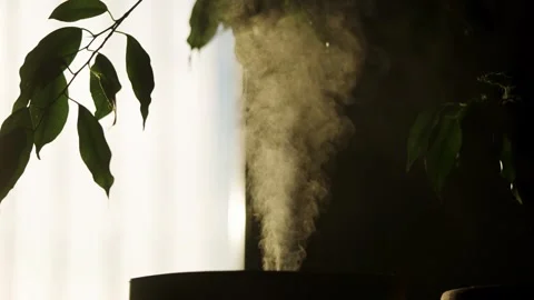 Humidifier diffusing essential oil vapor in a dark room with a houseplant Stock Footage 330186007
