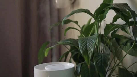 The humidifier is placed next to the bed optimizing air humidity for enhanced Stock Footage 310030810