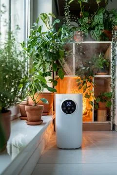 Humidifier standing on window sill creating comfortable living conditions for Stock-Fotos
