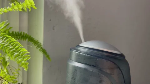 Humidifier starts working from low to high power and then turns off near green Stock Footage 170858887
