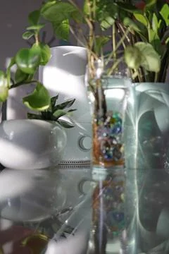 Humidifier on the table among the plants Stock Photos