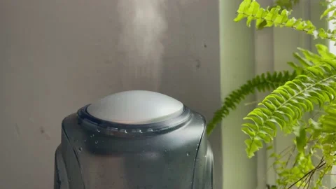 Humidifier working from low to high power and then turns off near green fern Stock Footage 170786952