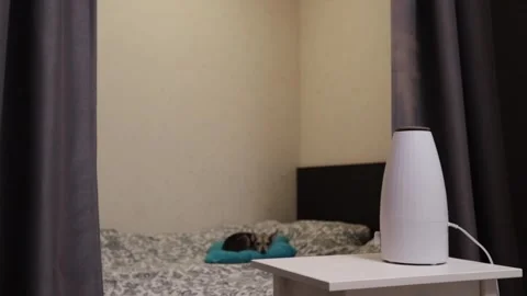 Humidifying the home, ultrasonic diffuser on the table, bedroom air enriche.. Stock Footage 262145521