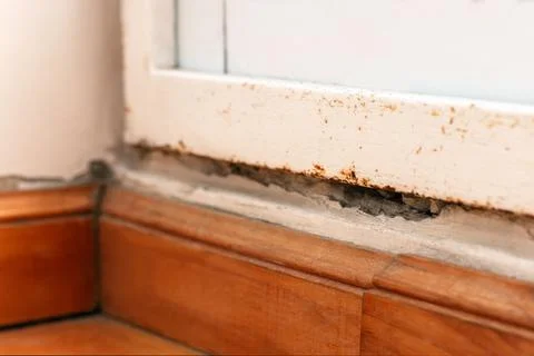Humidity and rust on wall and window frame height of the plinth. Ground view Stock Photos