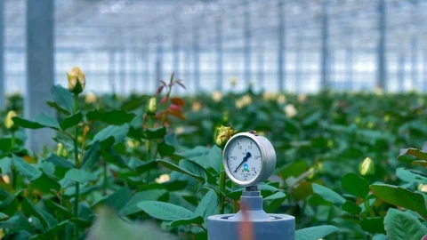Humidity sensor at a giant greenhouse. Video stock 78249631
