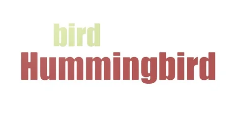 Hummingbird Animated Wordcloud Isolated On White Stock Footage 107247968