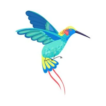 Hummingbird with Bright Feathers Hovering Vector Illustration イラスト素材