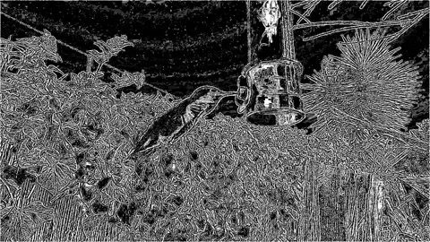 Hummingbird Cartoon 2 Video stock 150819035