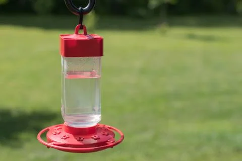 Hummingbird Feeder in Backyard Stock Photos