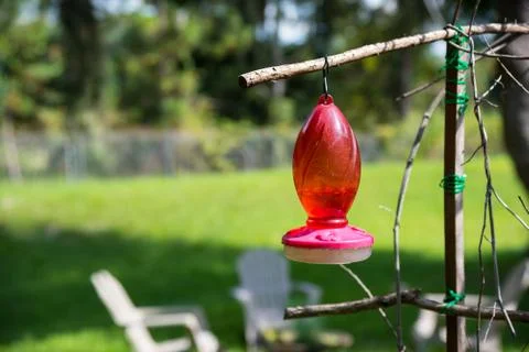 Hummingbird feeder Stock Photos