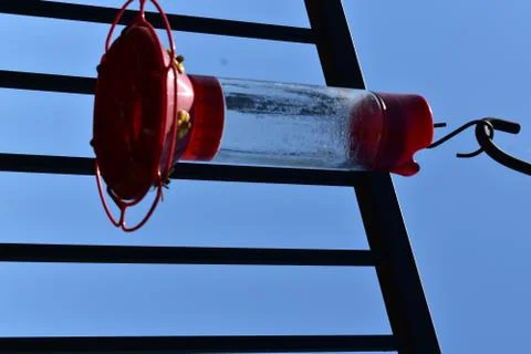 Hummingbird feeder 스톡 사진