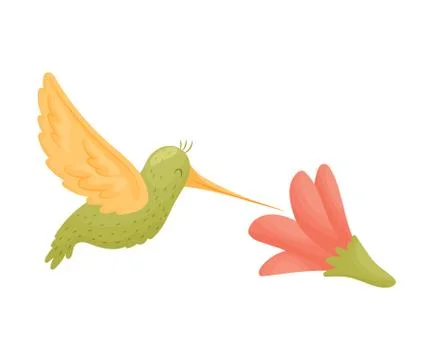 Hummingbird flies over a flower. Vector illustration on white background. Ilustração Stock