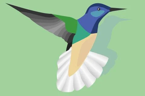 Hummingbird in flight Illustrazione stock