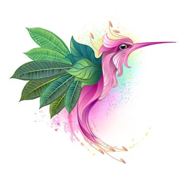 Hummingbird flower Stock Illustration