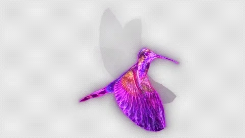 Hummingbird flying loop with alpha chann... | Stock Video | Pond5