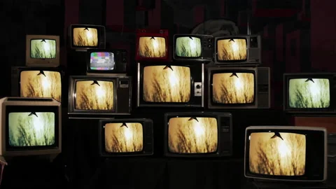 A Hummingbird Hovering Against Sunset Sky on Vintage TVs. 4K. Stock Footage 207490954