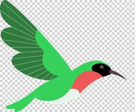 Hummingbird is hovering in flat vector with green wings, red throat patch, Illustrazione stock
