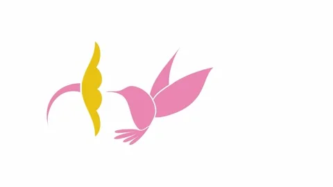 Hummingbird-icon 스톡 동영상 278027608