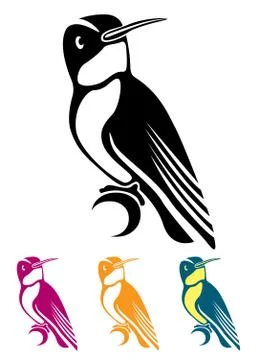 Hummingbird Stock Illustration