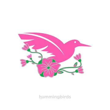 Hummingbird Stock Illustration