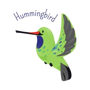 Hummingbird isolated on white background Stock Illustration