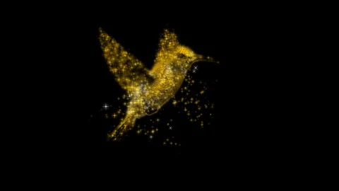 Hummingbird RGB Alpha Stock Footage 277252600