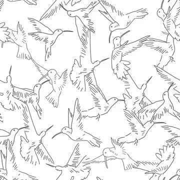 Hummingbird seamless pattern. Exotic theme vector background Stock Illustration