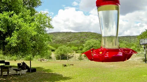 Hummingbird in slow motion Vídeo Stock 22935283