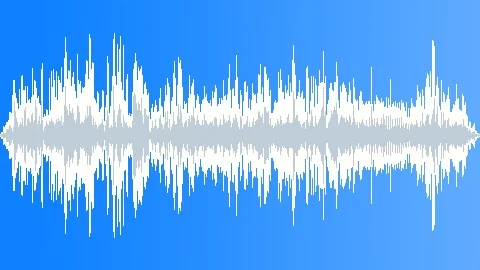 Hummingbird Sound Effect