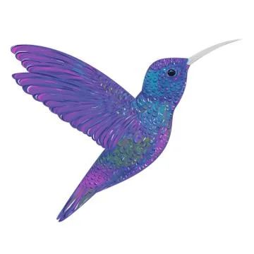 Hummingbird. Vector illustration Stock Illustration